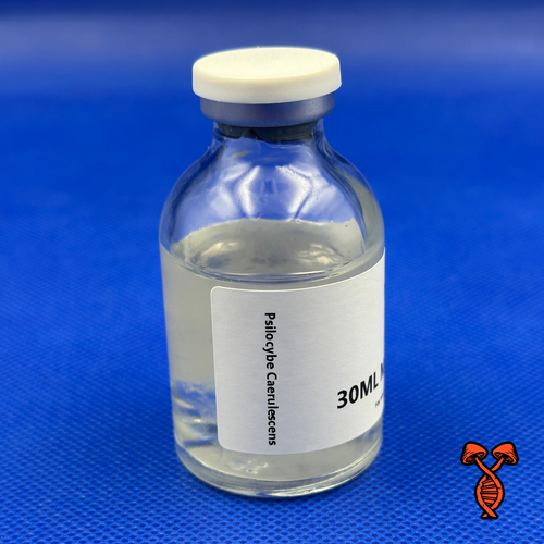 Psilocybe Caerulescens - 30ML Master Isolate Vial