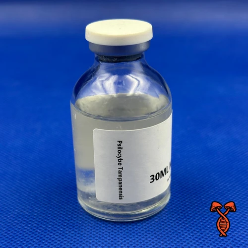 Psilocybe Tampanensis - 30ML Master Isolate Vial