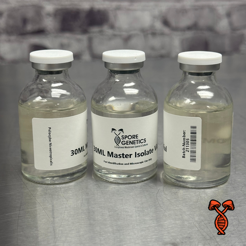 30ML Psilocybe Niveotropicalis Isolate Vial