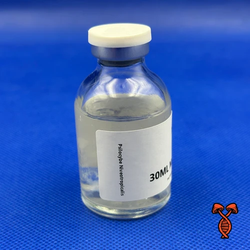 Psilocybe Niveotropicalis - 30ML Master Isolate Vial