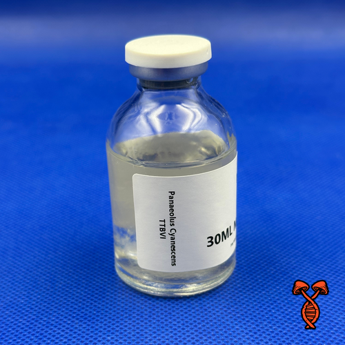Panaeolus Cyanescens TTBVI - 30ML Master Isolate Vial