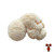 Lion's Mane Mushrooms