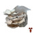 Pearl Oyster 10cc Liquid Culture Syringe
