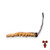 Cordyceps Ophiocordyceps Sinensis