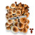 Golden Teacher 10cc Spore Syringe