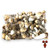 Bluey Vuitton Bulk Tub Mushroom Grow