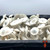 Albino Chodewave Magic Mushroom Spore Syringe