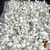 Albino Bluey Vuitton isolated psilocybe cubensis spores