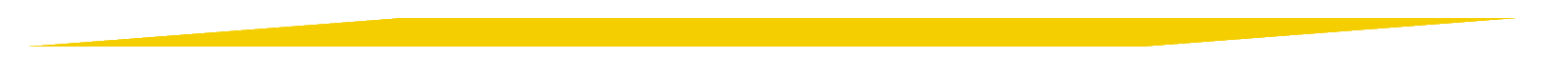 yellow divider image