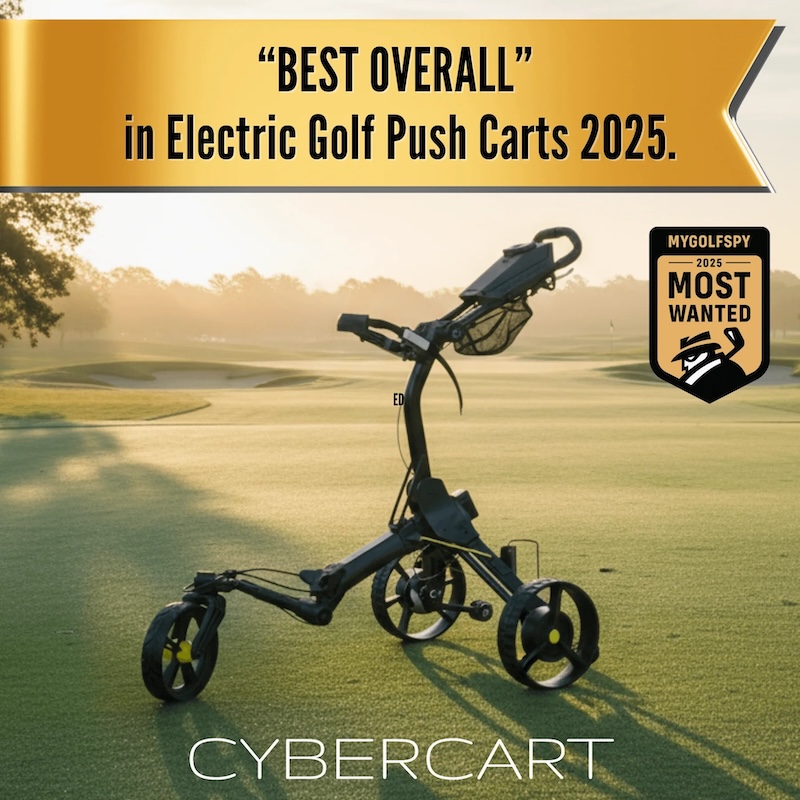 Cybercart-1