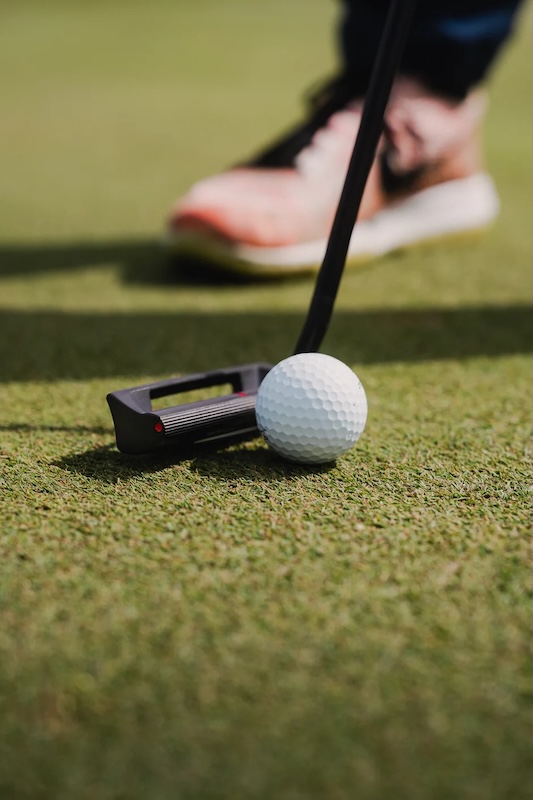 RIV Blade Putter