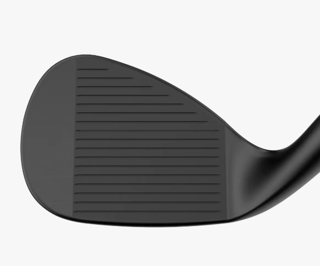 OPUS SP Wedge-1