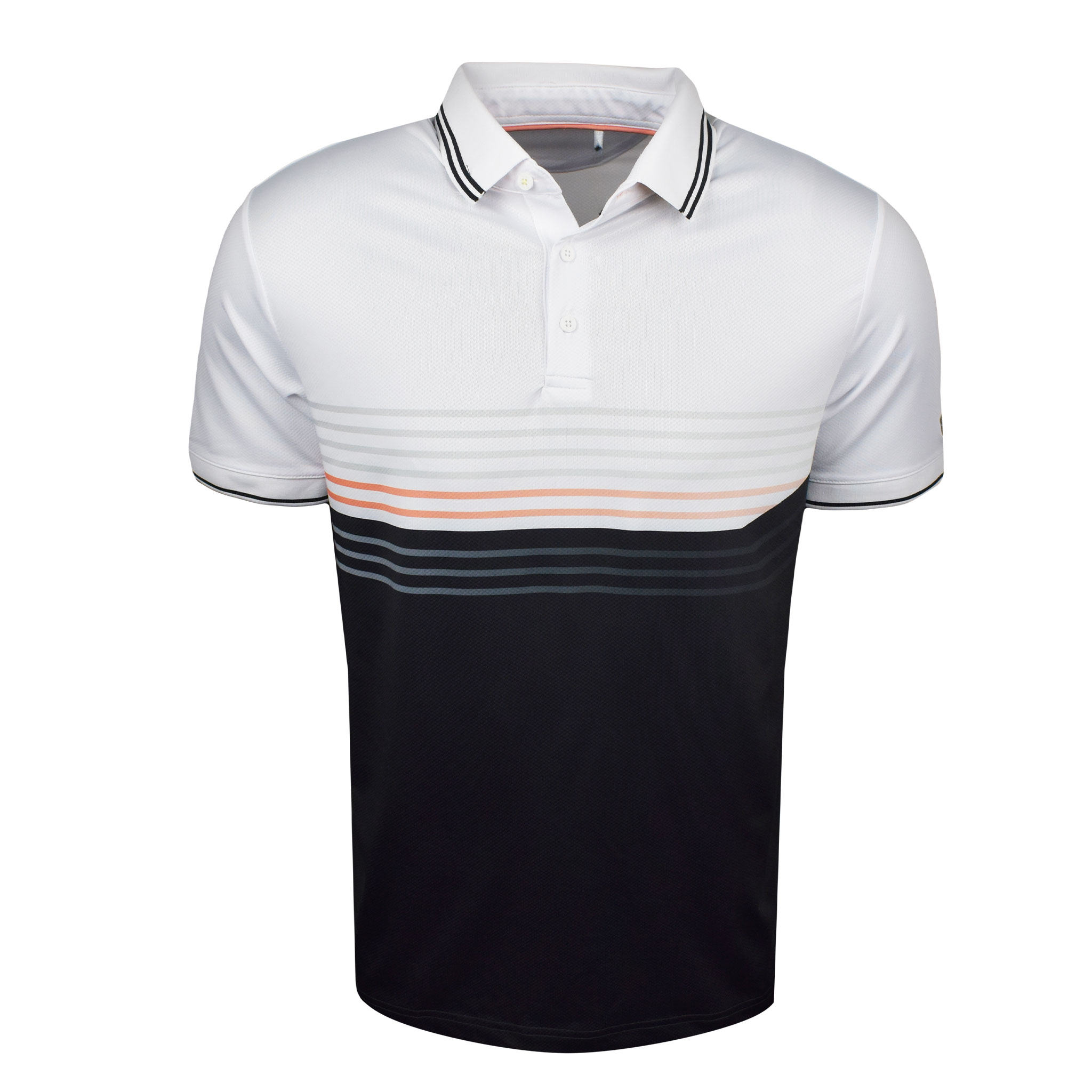 Asher Polo