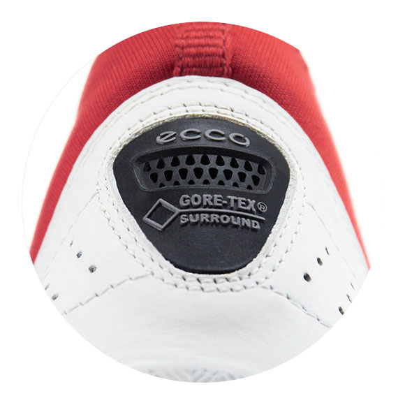 Gore-Tex