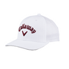 Callaway Golf Previous Season Performance Pro Hat - Image 8