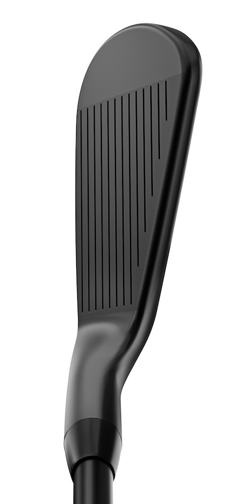 528991_5