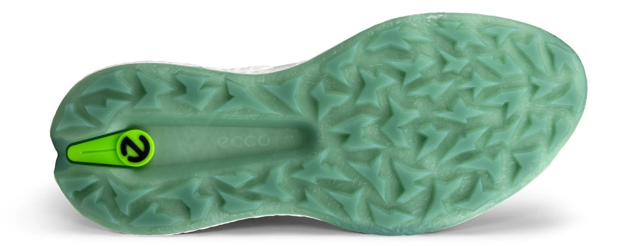 Ecco Golf Biom H5 BOA Shoes | RockBottomGolf.com
