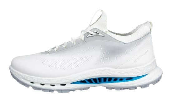 Ecco Golf Biom C5 Spikeless Shoes | RockBottomGolf.com