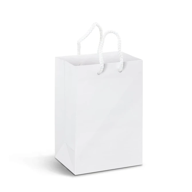 A small white laminated paper carry bag with white rope handles and a plain design.