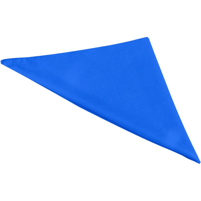 A blue bandana in a triangular shape, featuring a logo or branding.