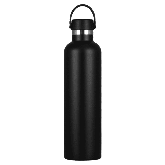 A drink bottle in matte black stainless steel with a silver lid, featuring a handle for easy carrying.