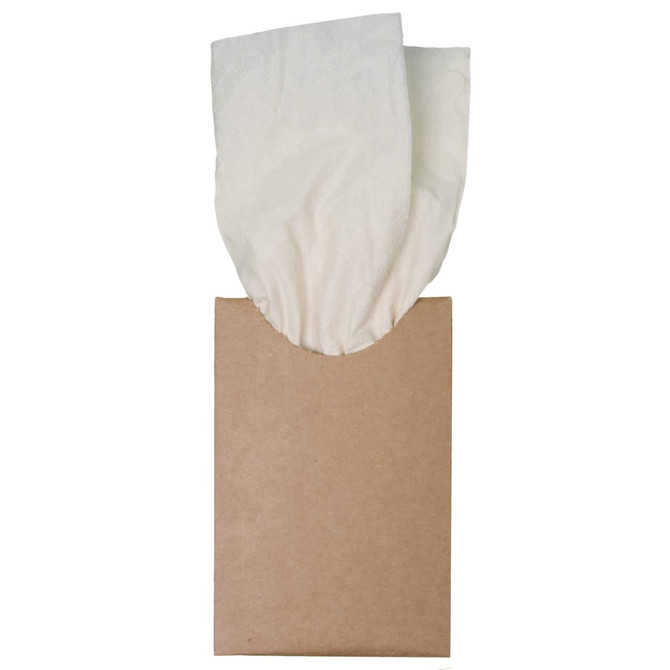 A box of Bamboo Tissues with two tissues partially pulled out from the top. The box has a simple brown exterior.