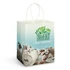 A large, full-colour paper carry bag with a graphic design, featuring a logo and a light green gradient.