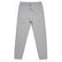 A pair of grey track pants with an elastic waistband and side pockets. The pants have a simple design and logo.