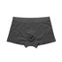 A pair of dark grey boxer briefs with a soft waistband, featuring a logo on the waistband.