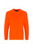 An orange long sleeve tee with a round neck, featuring a logo on the label. Ideal for safety wear.