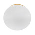 A round white speaker with a wooden accent. It features a logo on the surface.