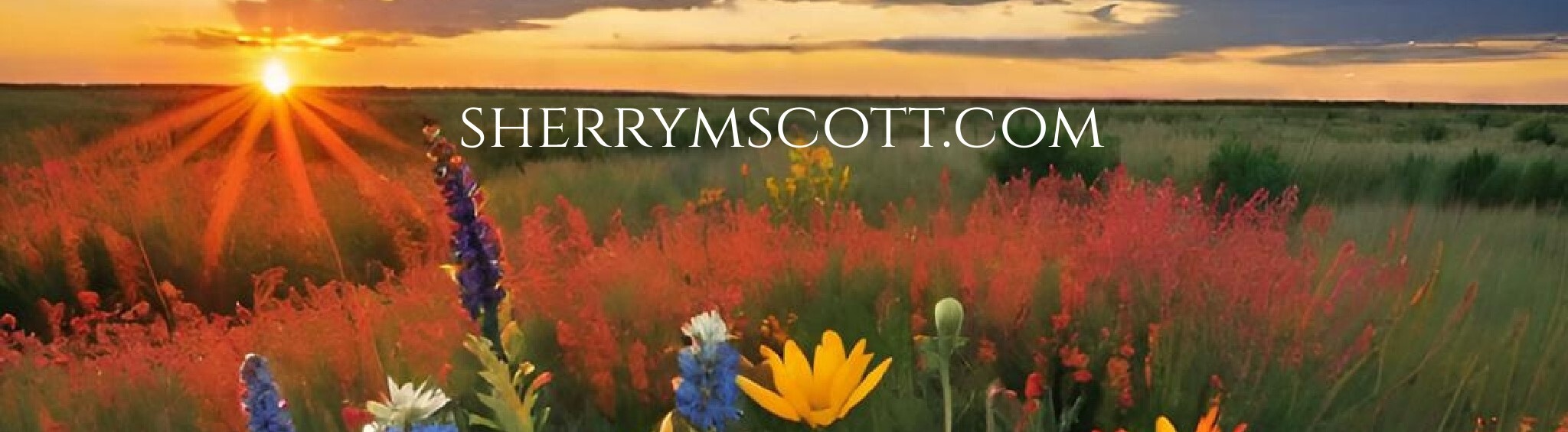 banner-for-website.jpg