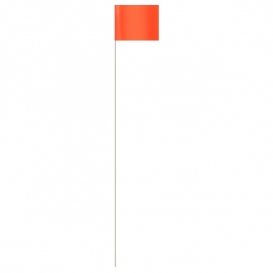 primary_image