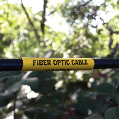 alternate_image