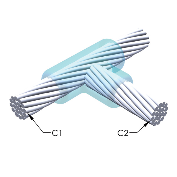 alternate_image