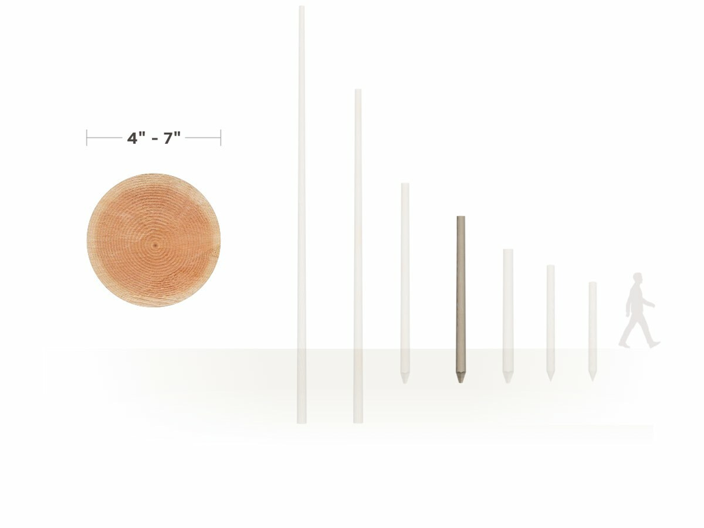 alternate_image