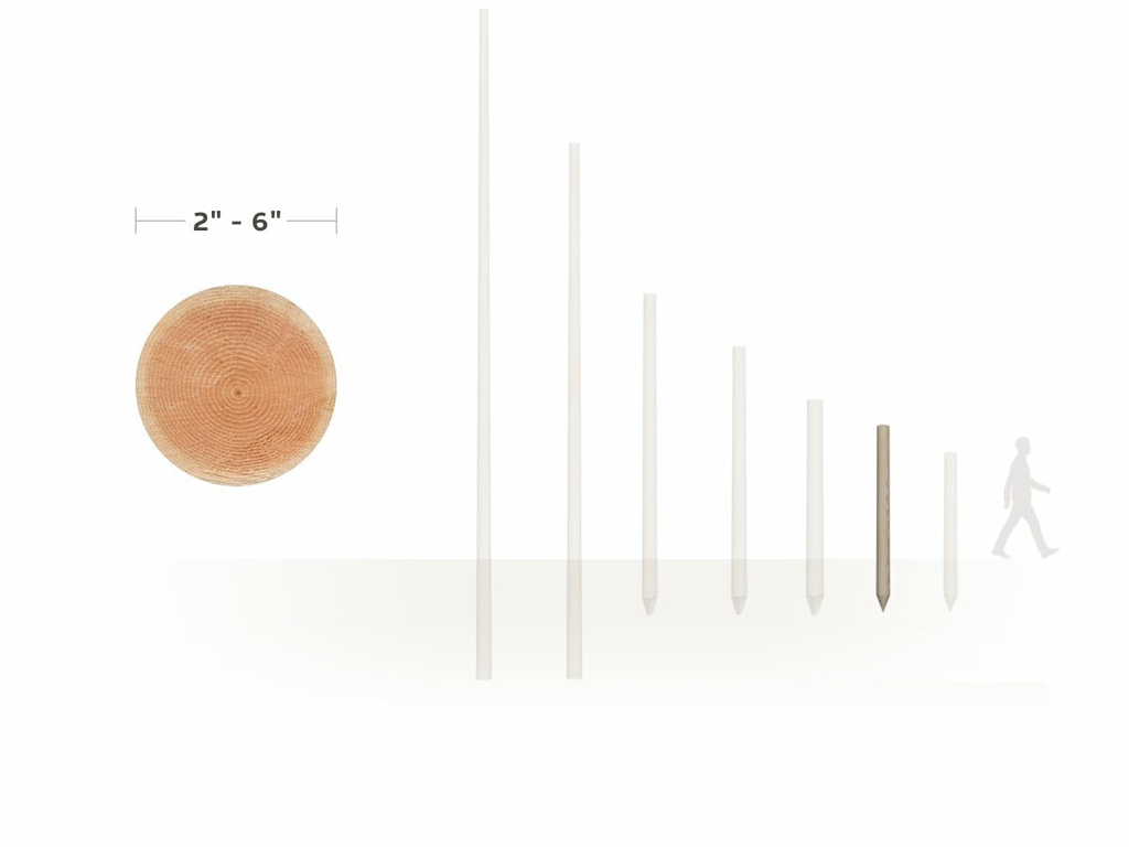 alternate_image