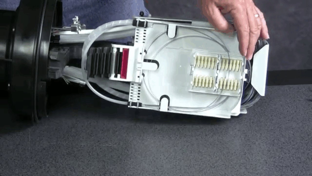alternate_image