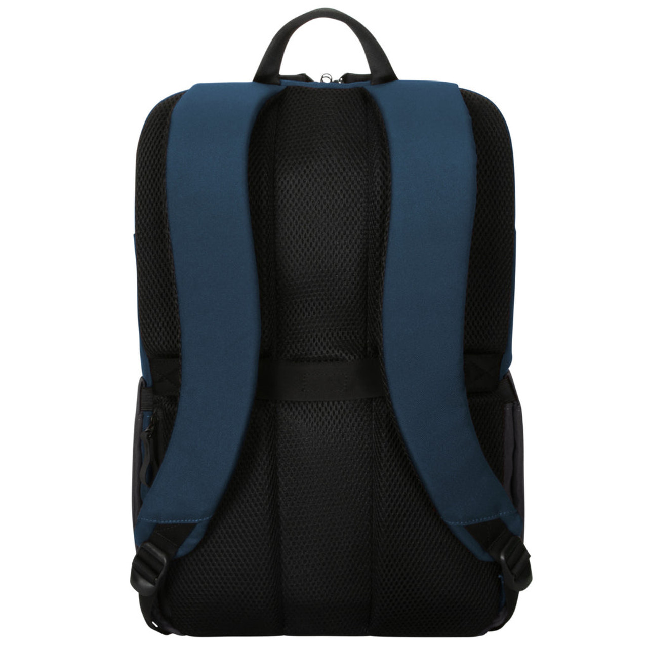 Targus Sagano 39.6 cm (15.6") Backpack Black, Blue, Grey