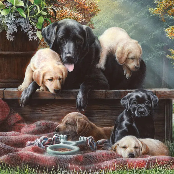 Cozy Moments 1000 piece puzzle