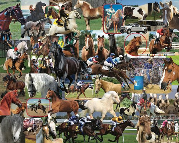 Horses, Horses, Horses 1000 piece puzzle