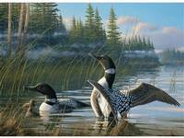 Common Loons 500 piece puzzle (modular)