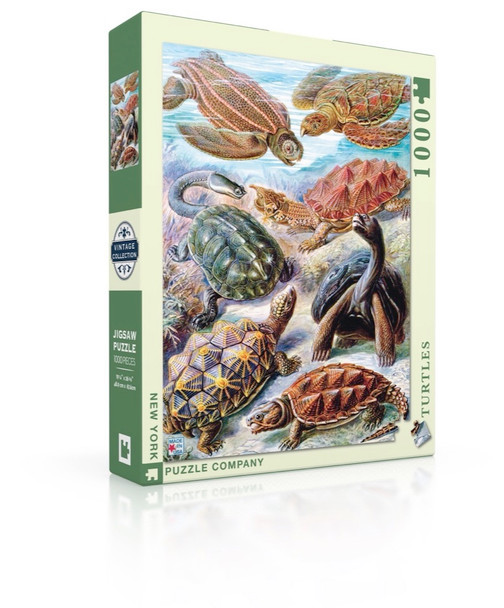 Turtles 1000 piece puzzle