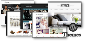 How to Pick Your WordPress Theme