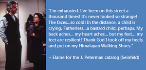 Product Descriptions That Sell