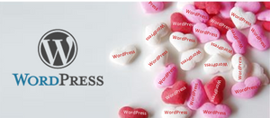 Why We Love WordPress