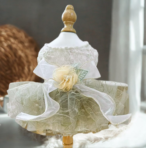 Lady Girl Lace Pet Tutu Dress