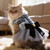 Blue Dream Pet Tutu Dress