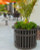 CityView Planters