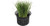 CityView Planters